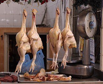 Chicken