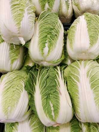 Chinese Cabbage