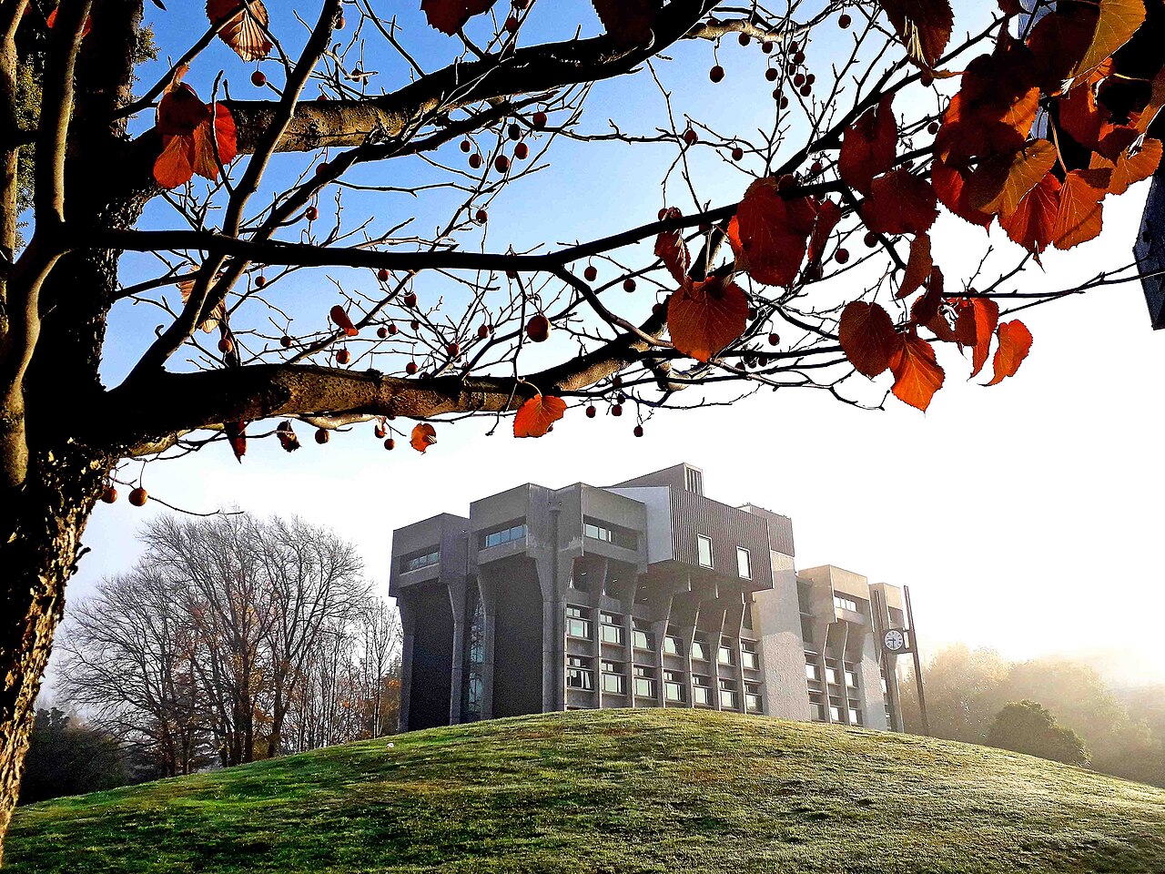 坎特伯雷大学