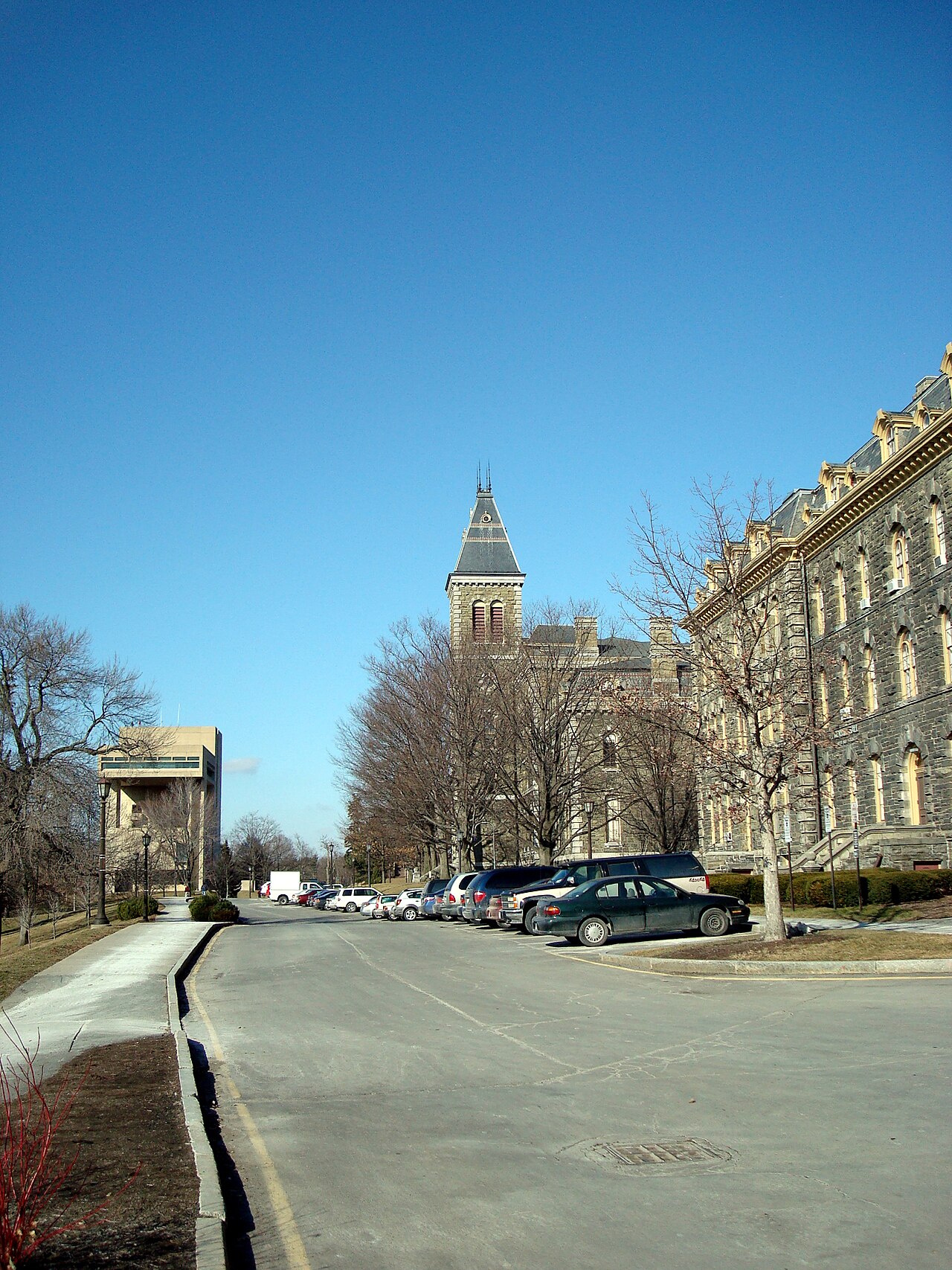 康奈尔大学