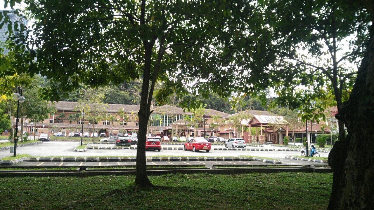 马来亚大学