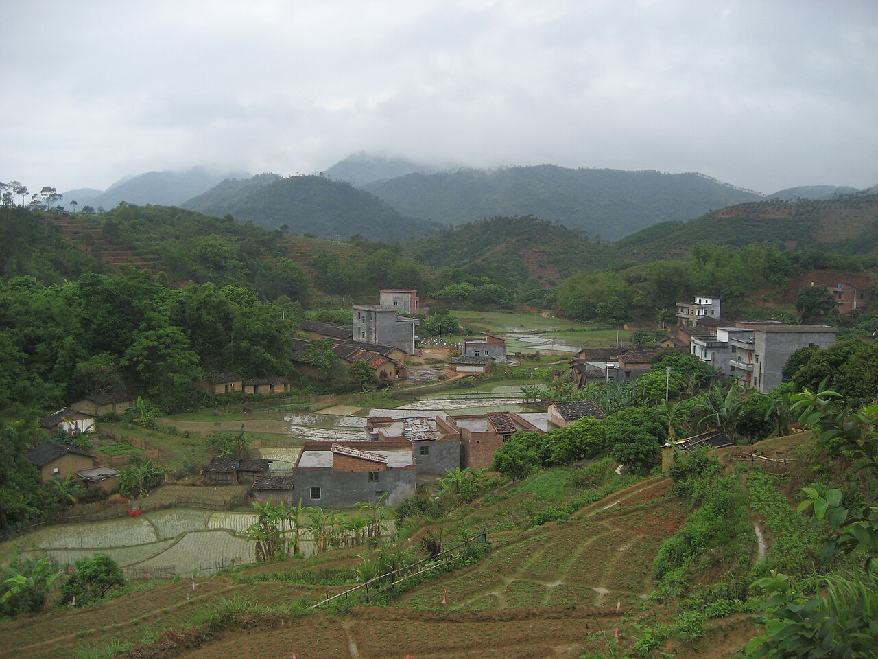 قاوتشو