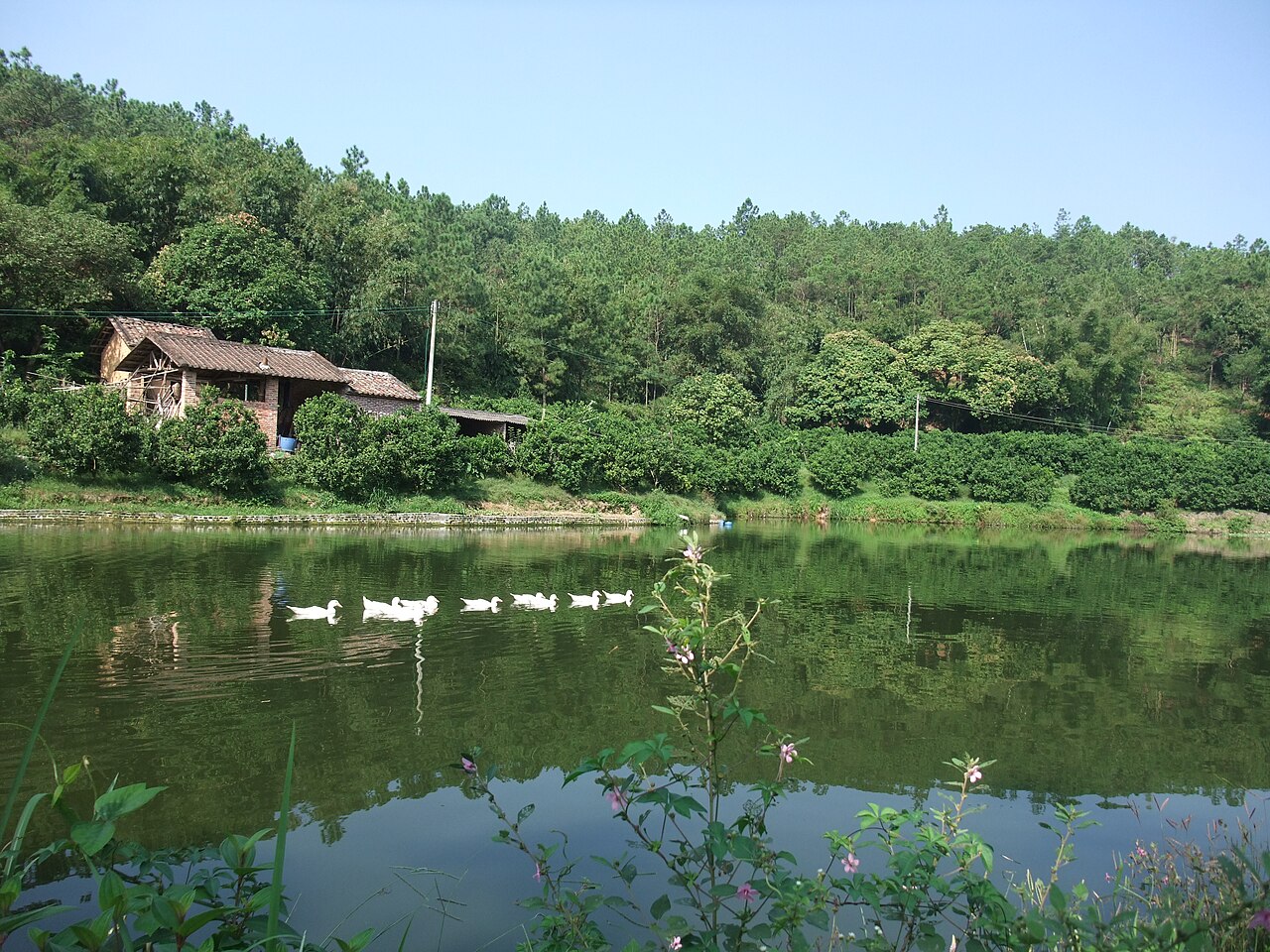Yunfu