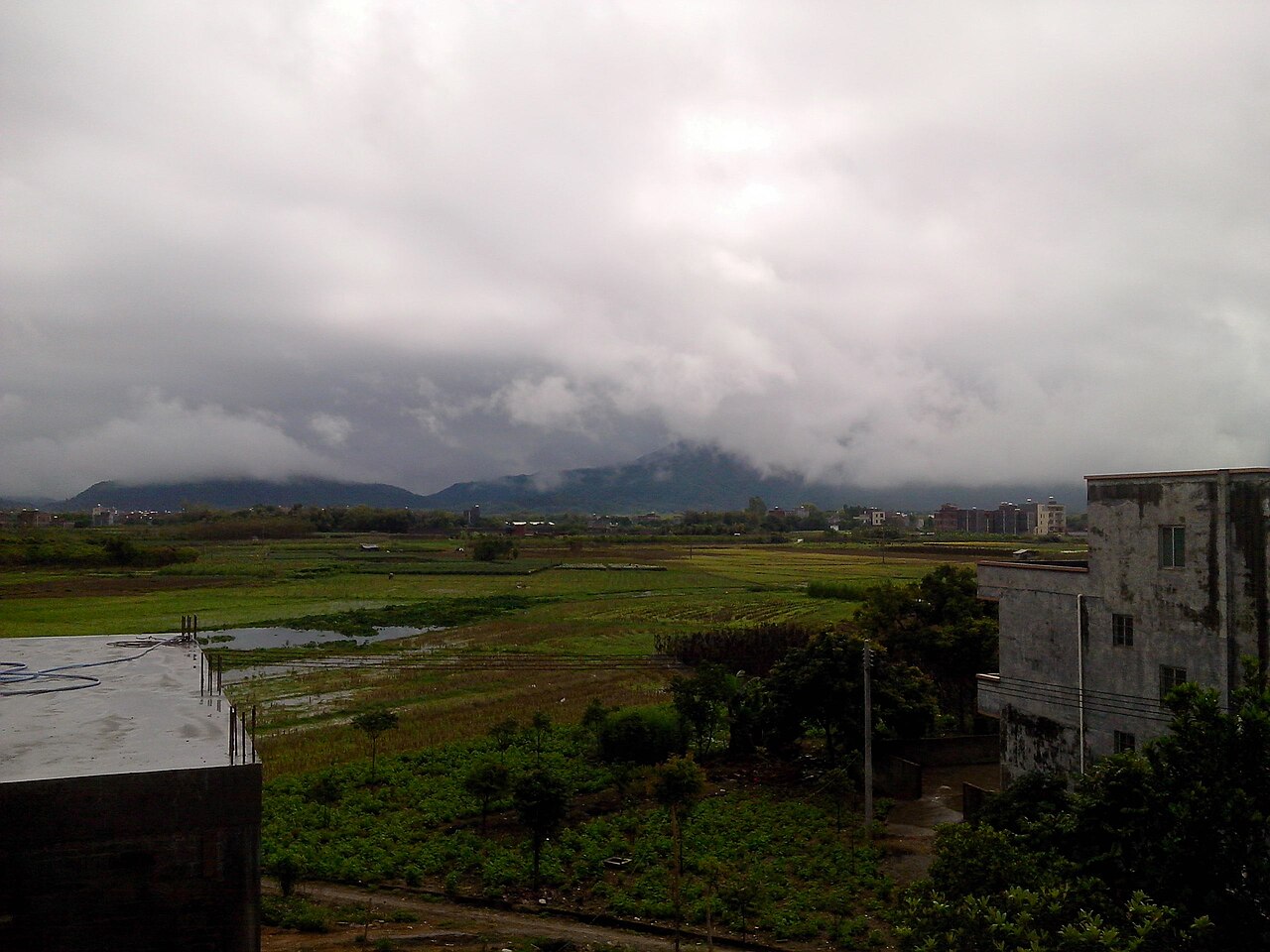 阳春