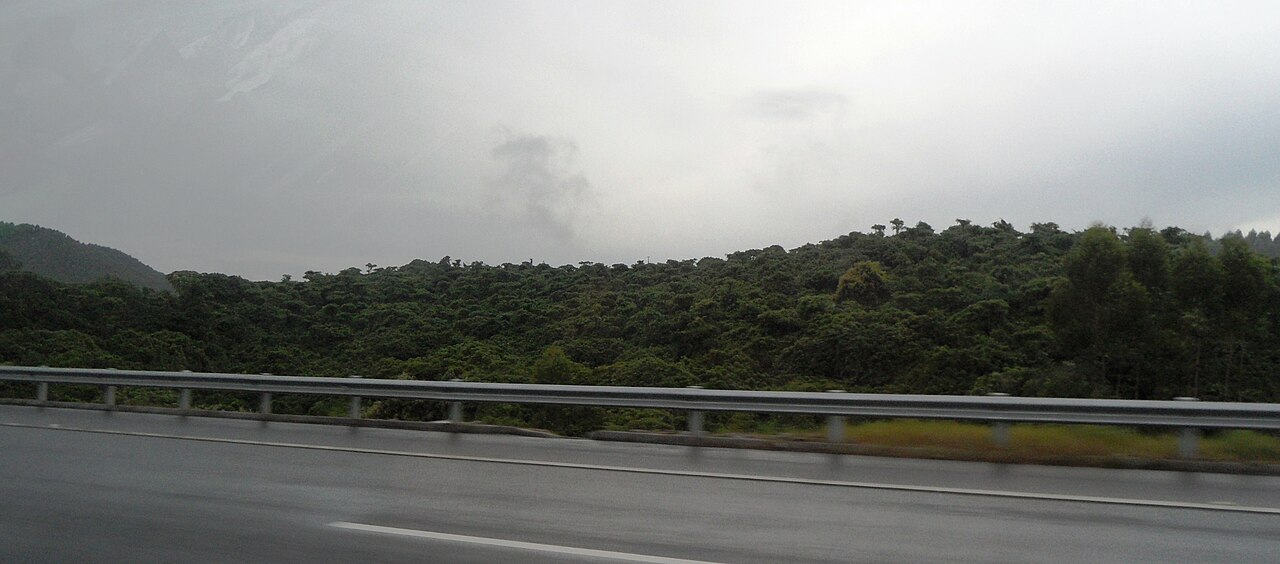 鹤山