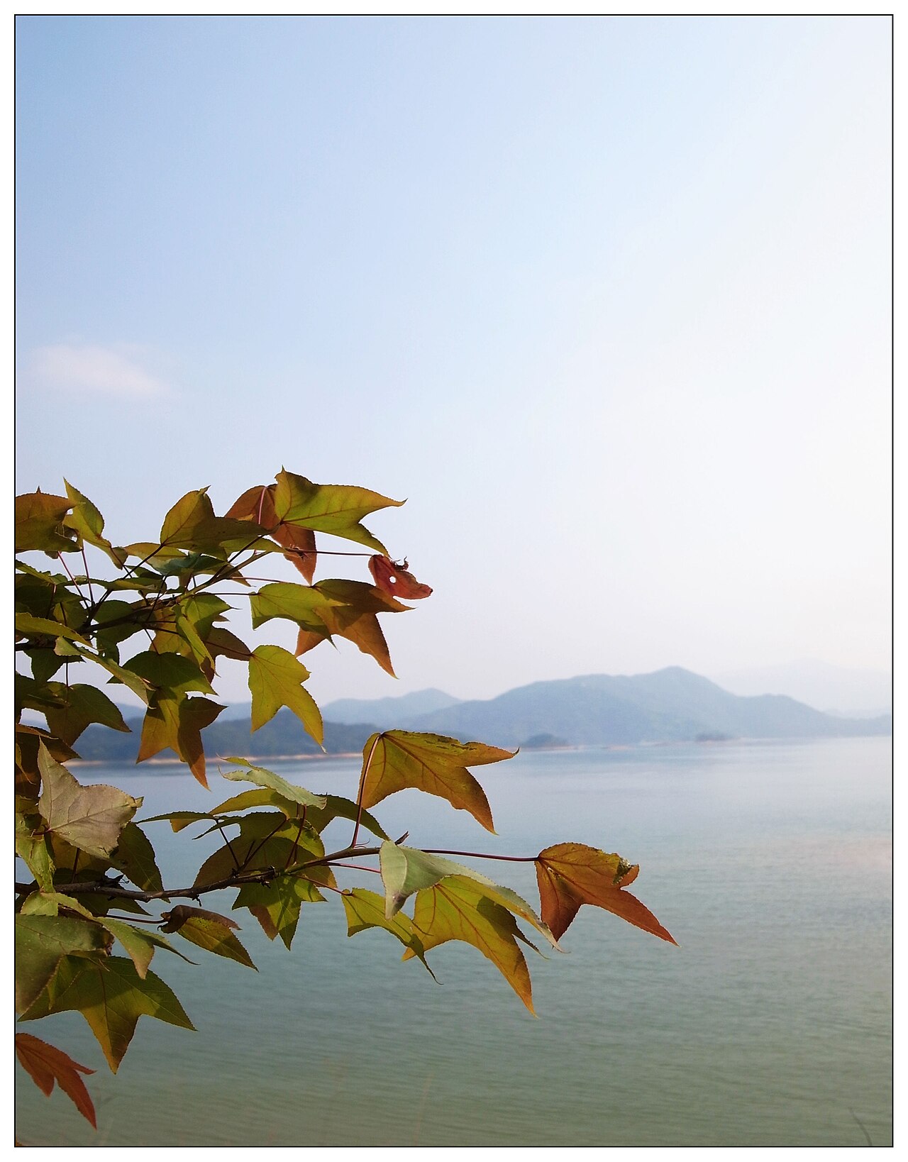 Heyuan