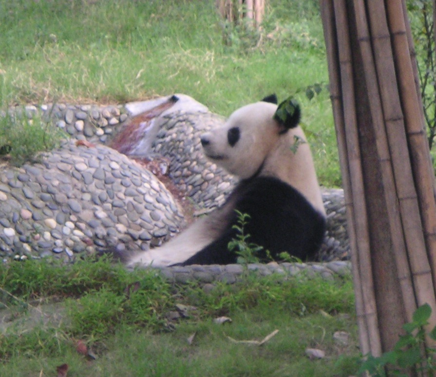 Chengdu