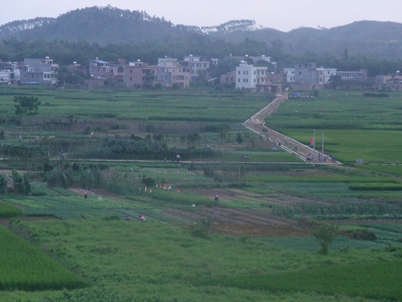 化州