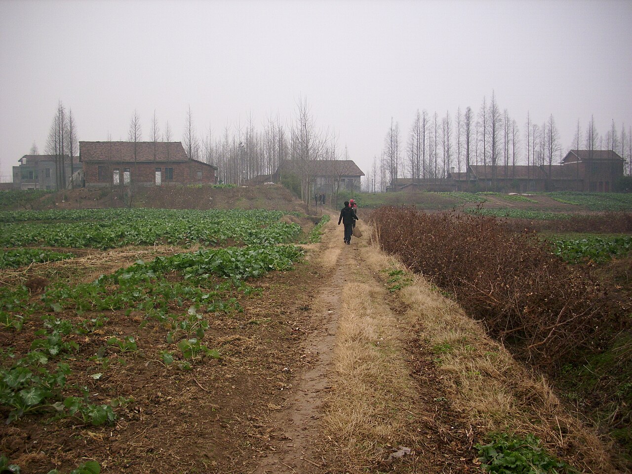 Yuanjiang