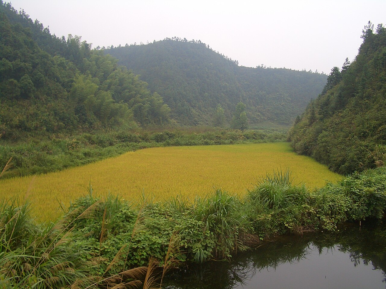 Xianning