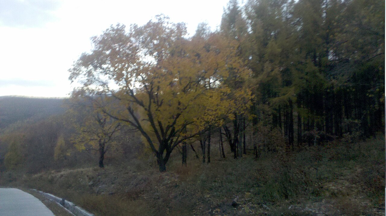 密山