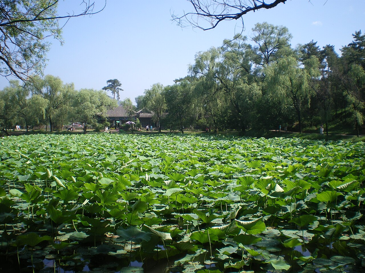 Chengde