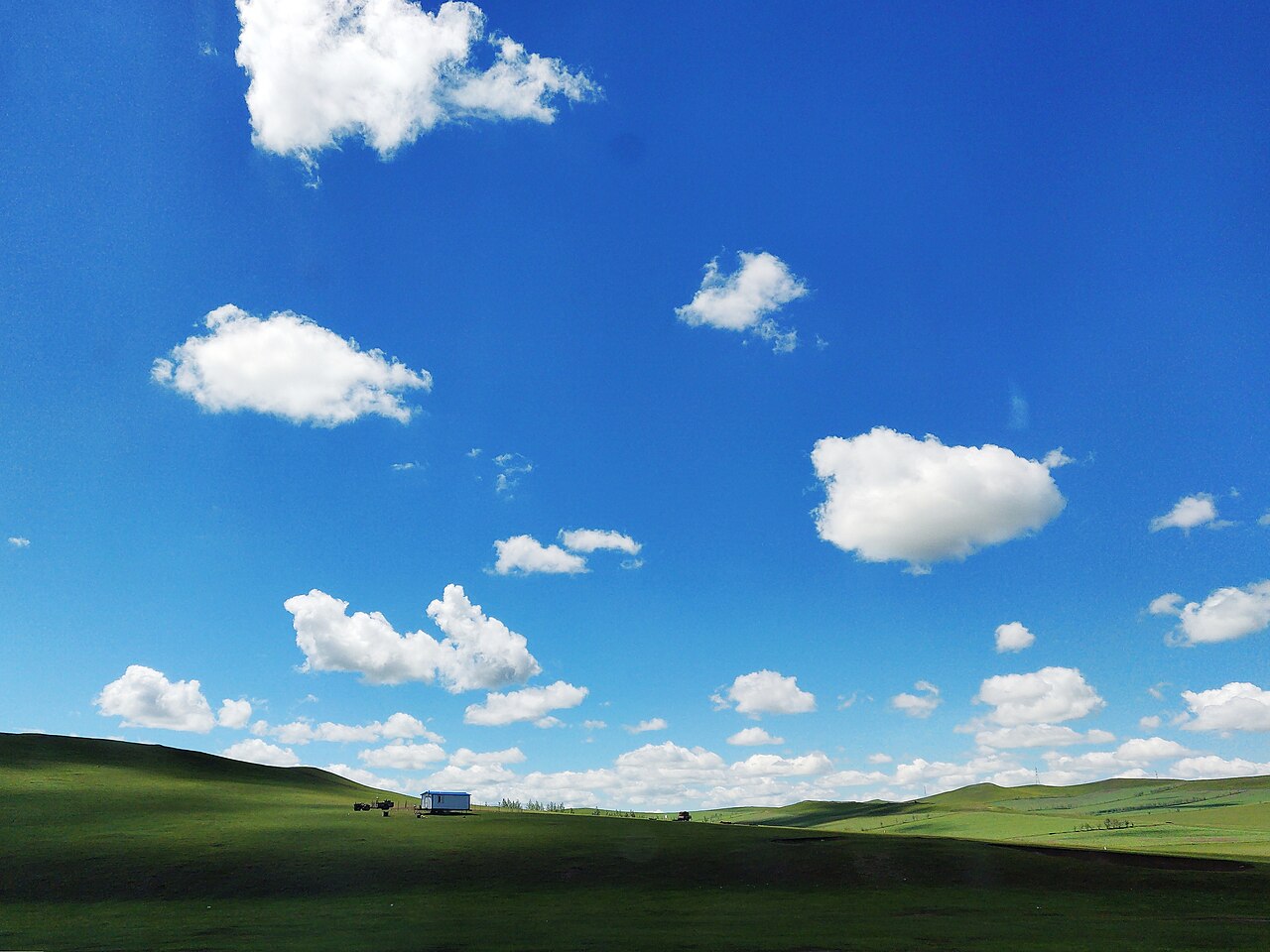 هولونبير