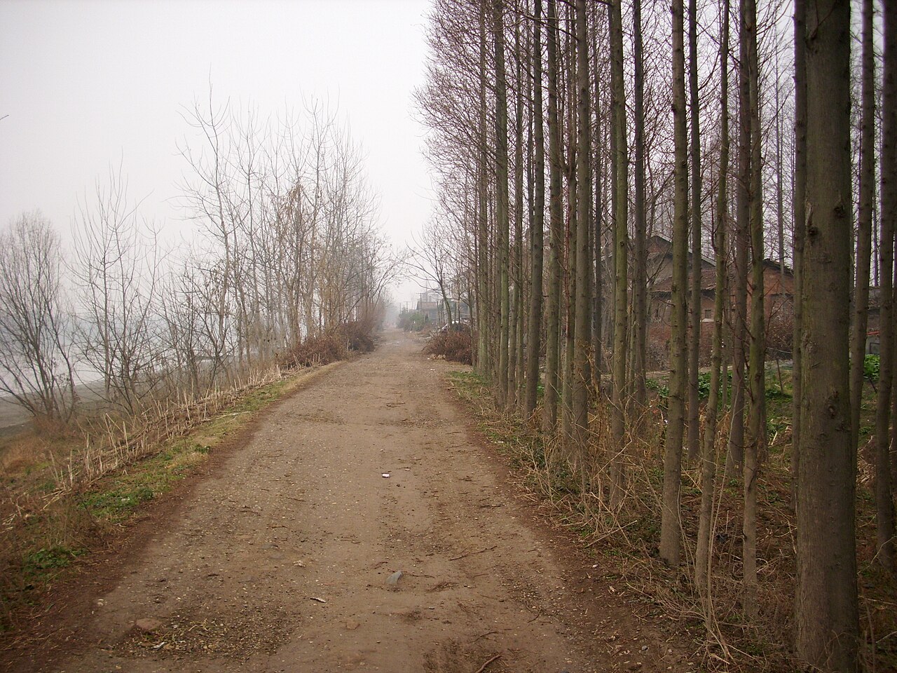 Yuanjiang