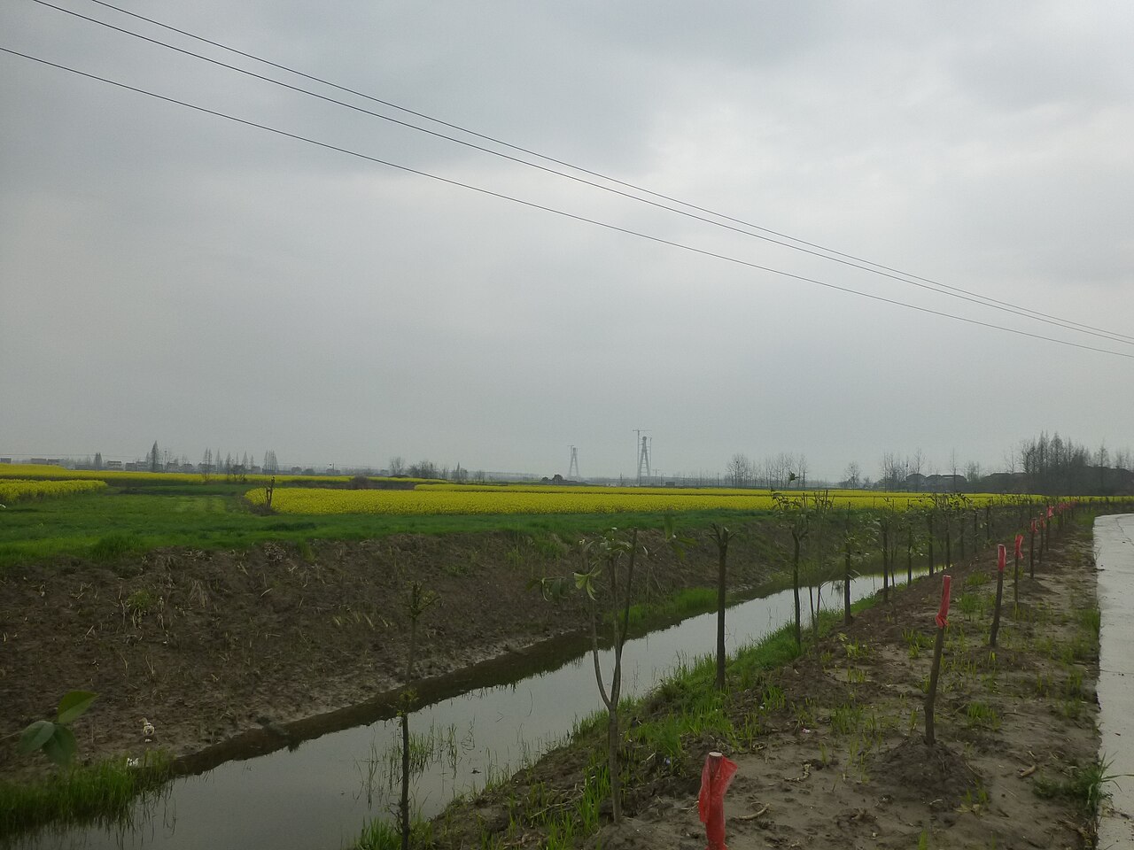 Honghu
