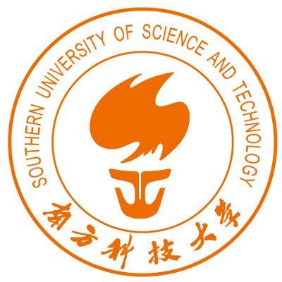 جامعة الجنوب للعلوم والتكنولوجيا