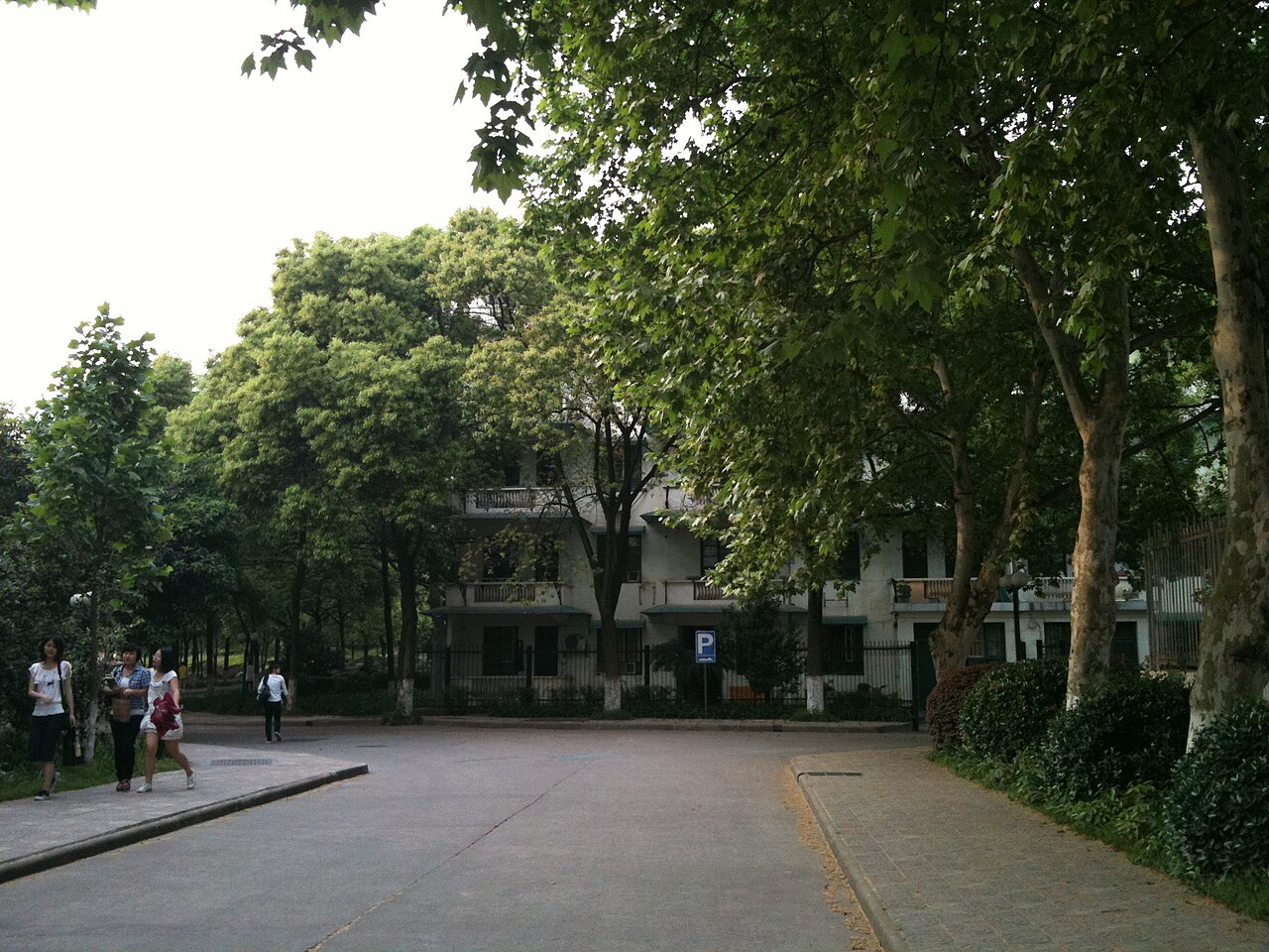 جامعة تشانغشا