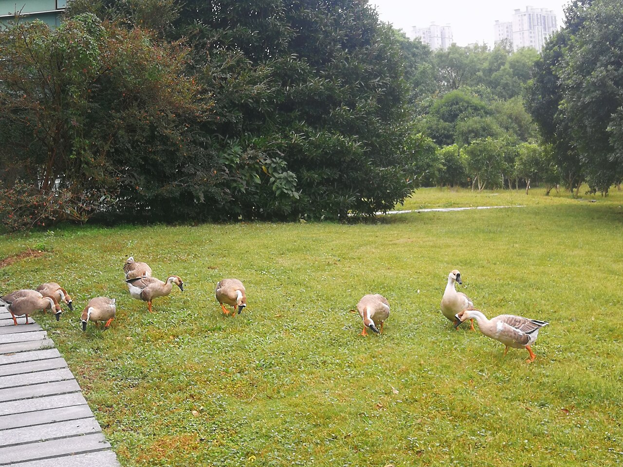 宁波大学