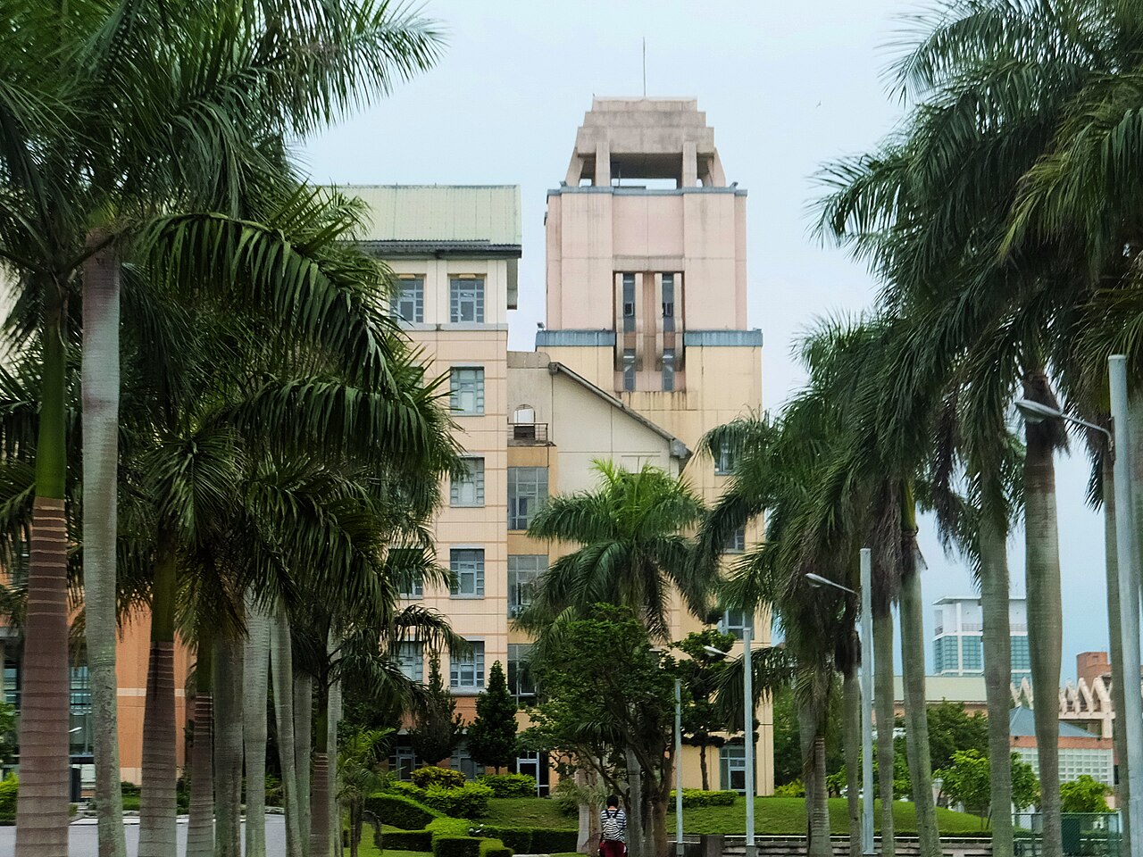 جامعة دونغخوا