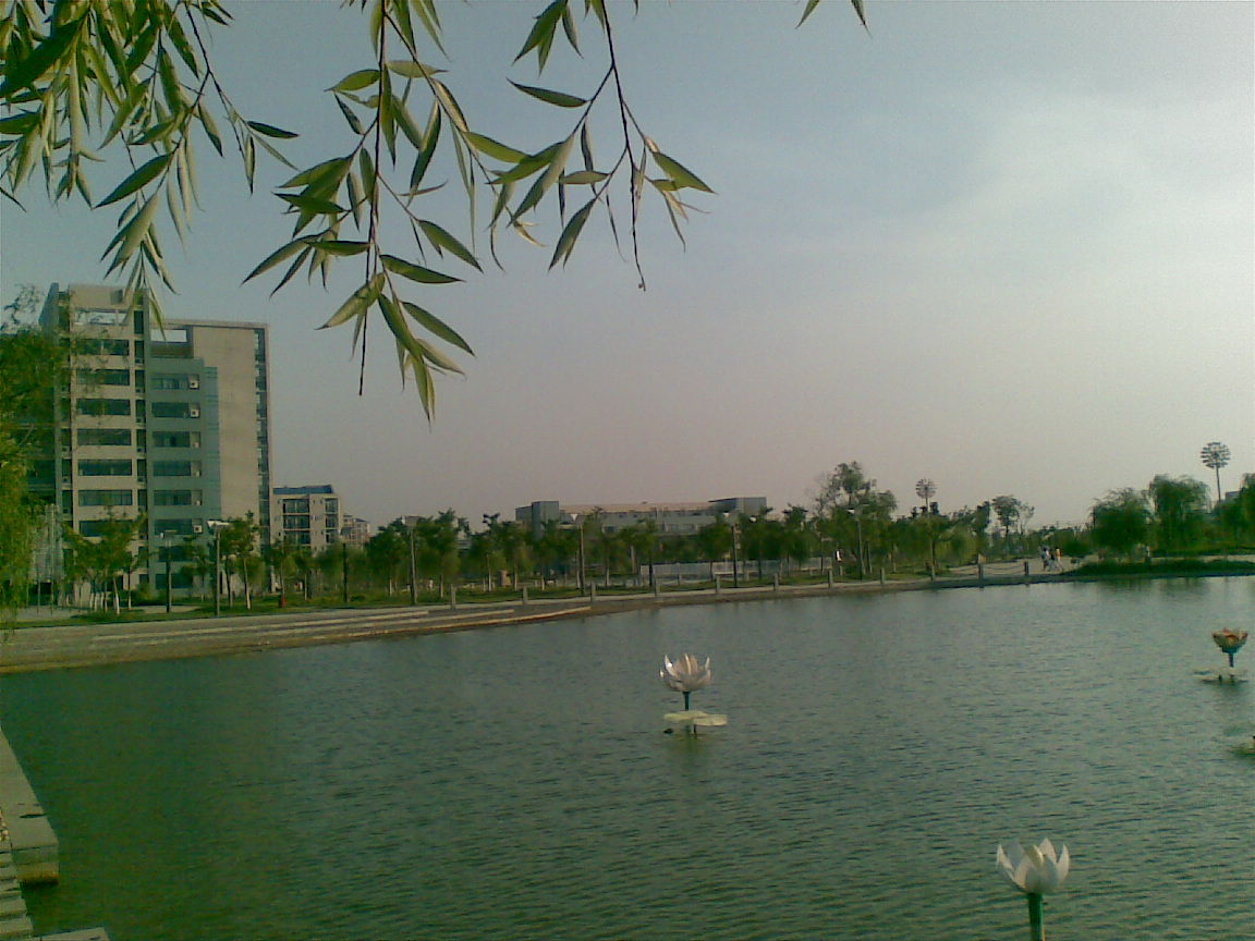 جامعة بنغبو