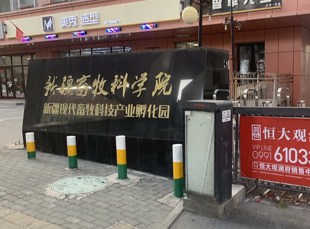 Xinjiang Institute of Technology