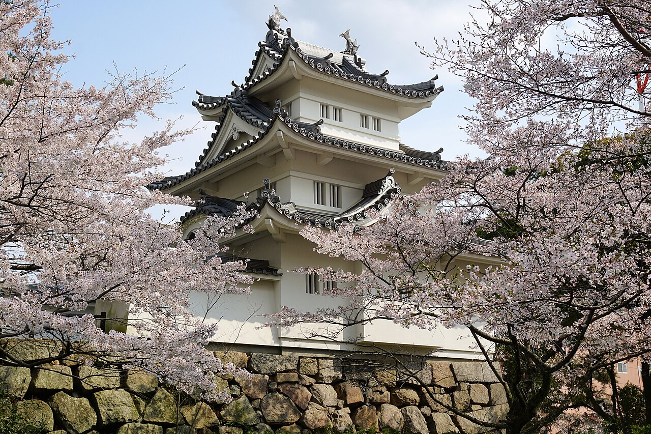 Taishan University