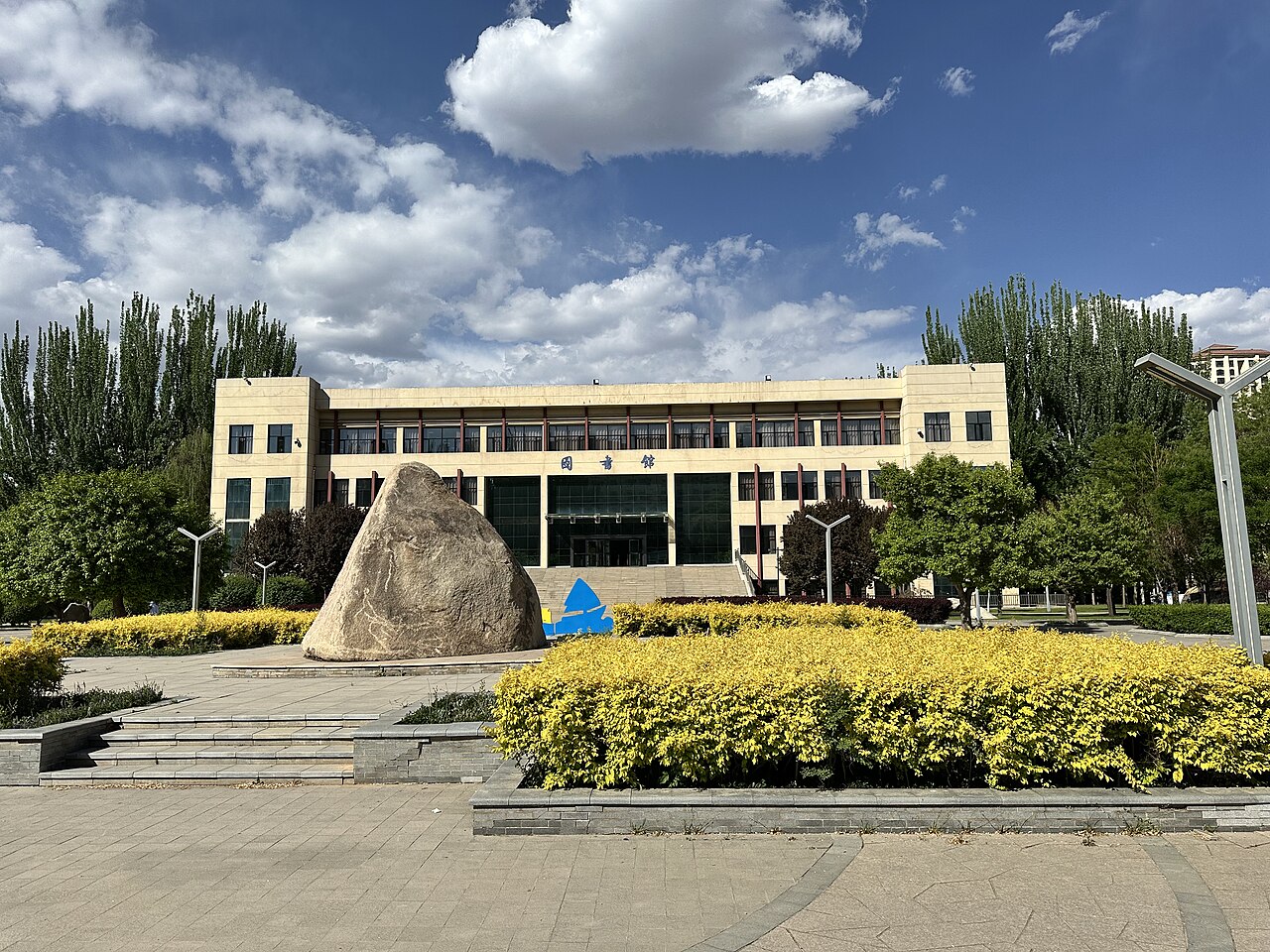 جامعة تشينغهاي للقوميات