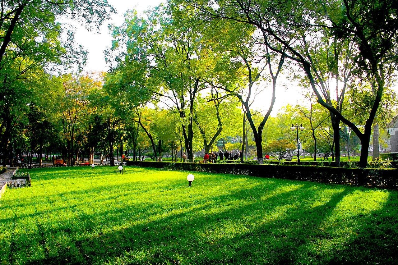 山东大学