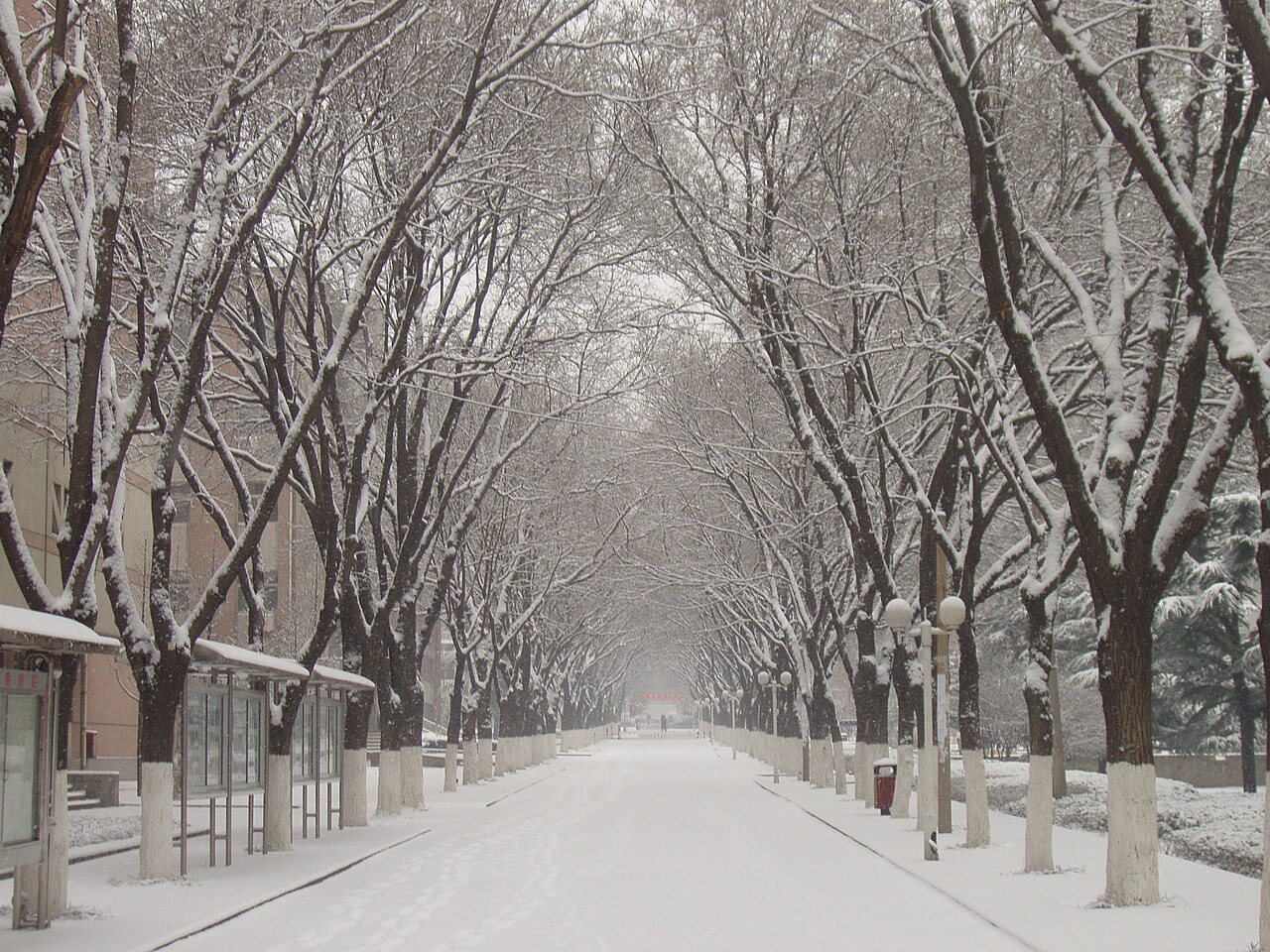 山东农业大学