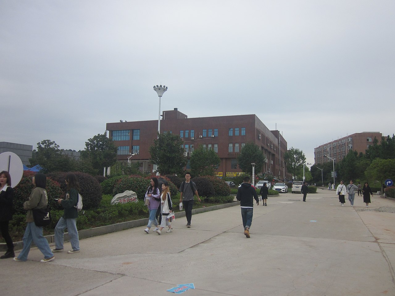 جامعة الجنوب الأوسط للغابات والتكنولوجيا