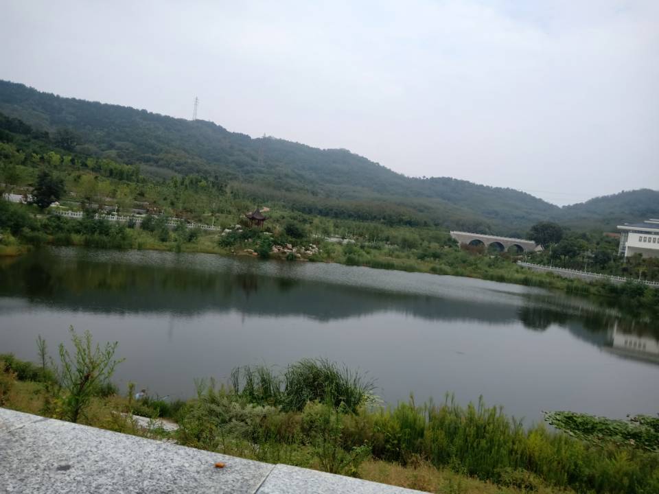 Ludong University