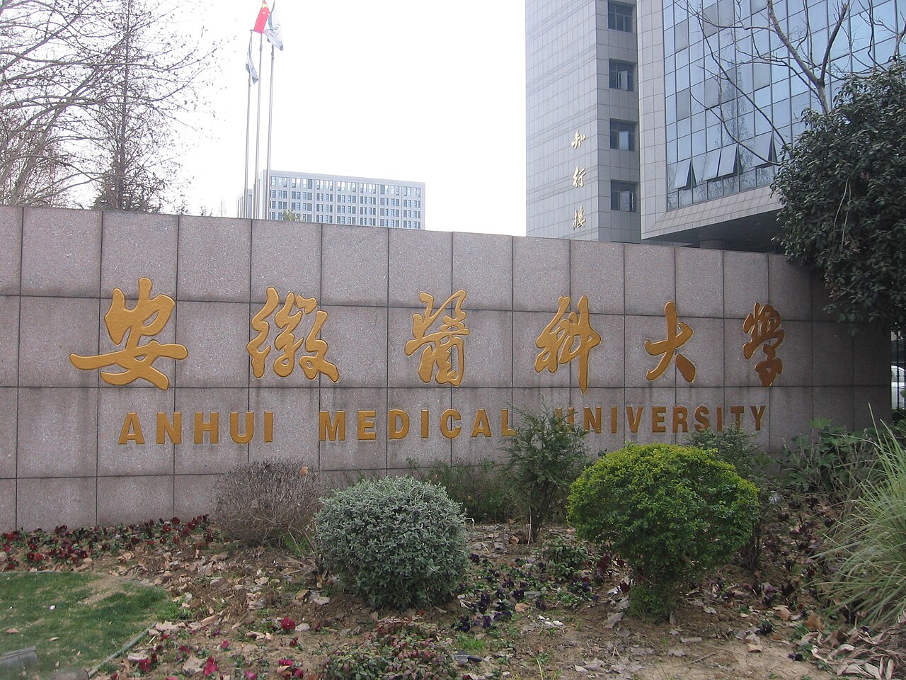 安徽医科大学