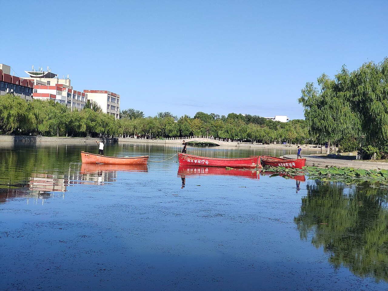 Yantai University