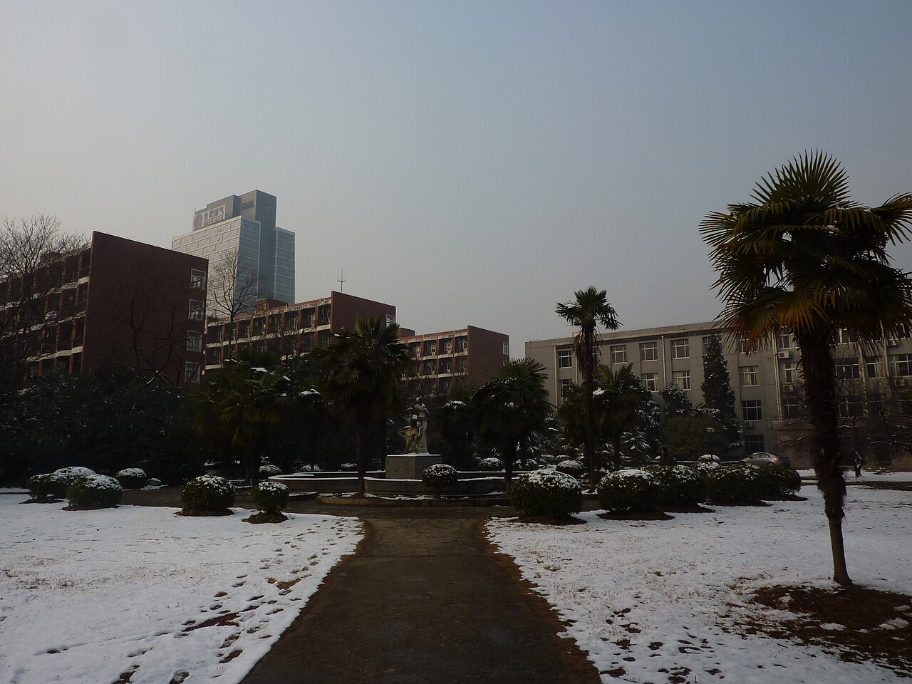 جامعة آنهوي