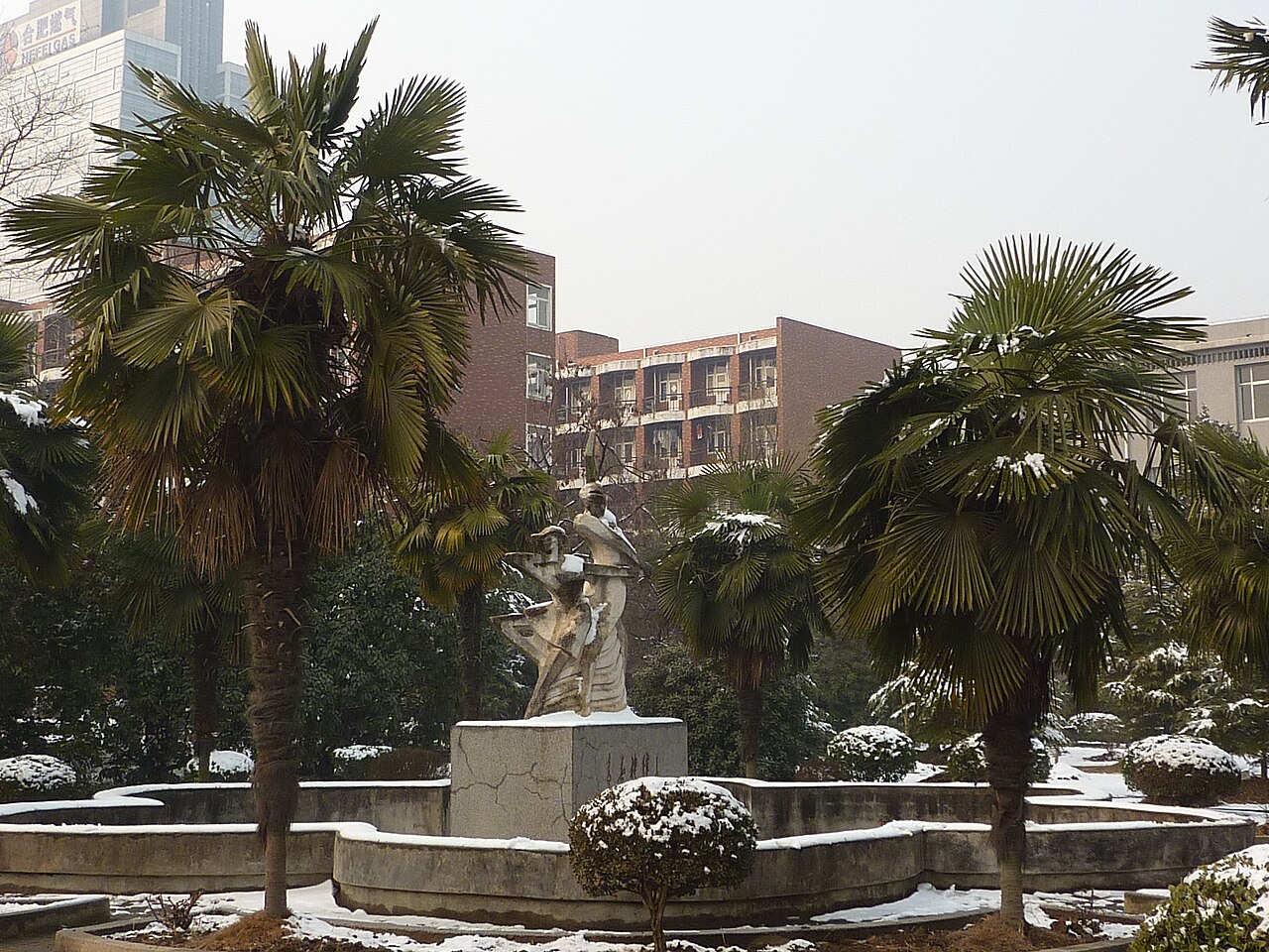 جامعة آنهوي