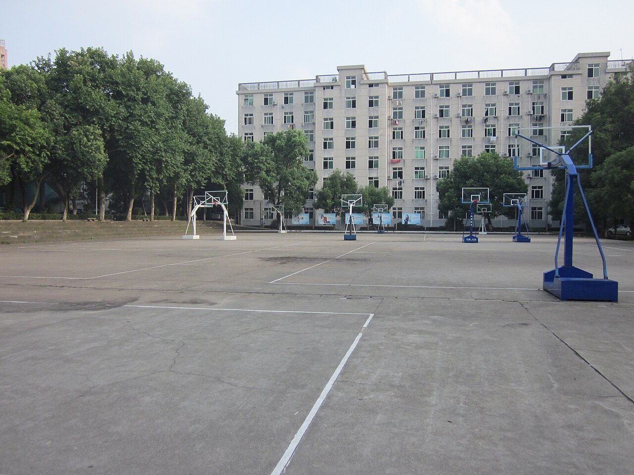 جامعة تشانغشا