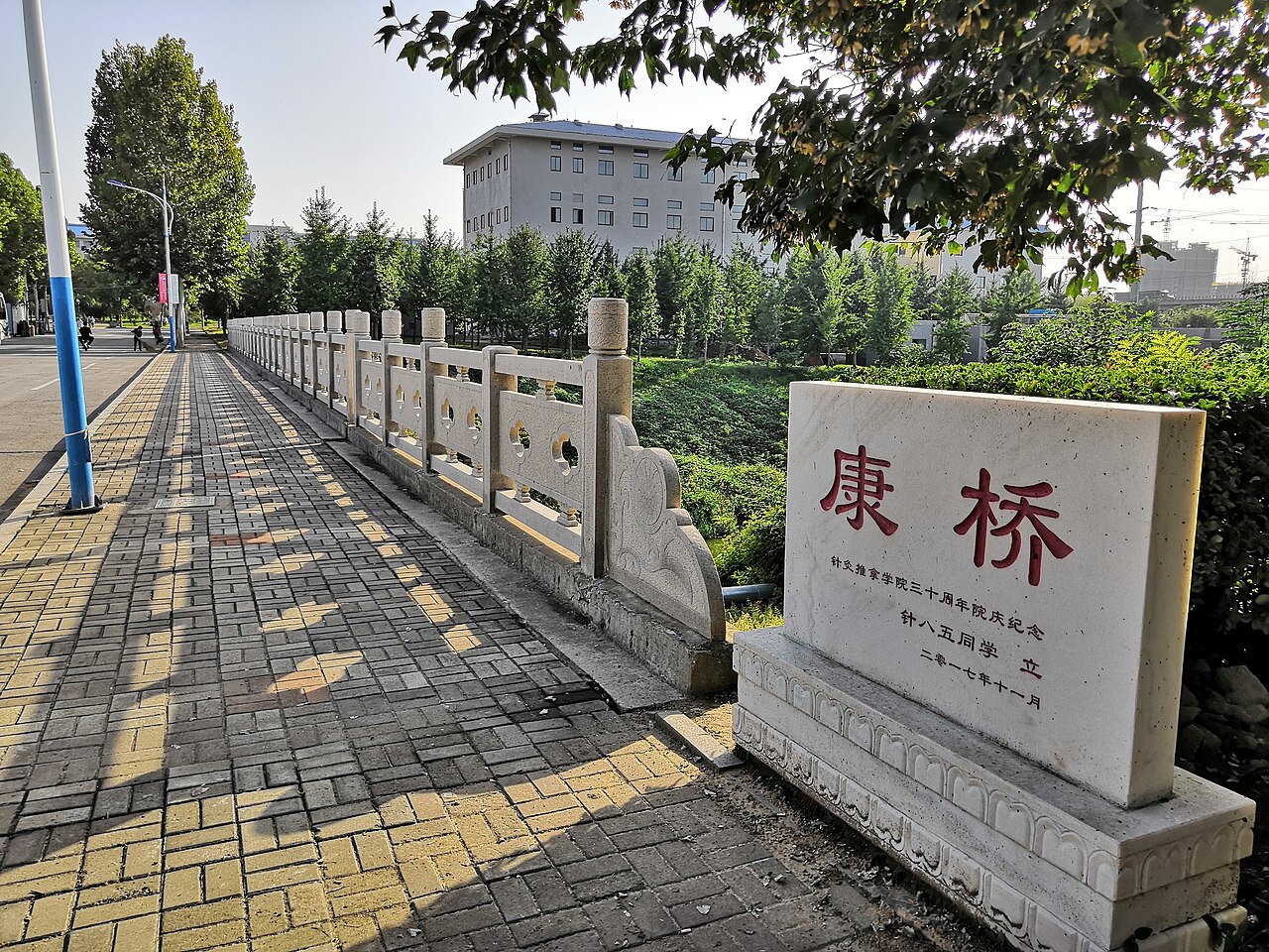 Shandong University of Traditional Chinese Medicine