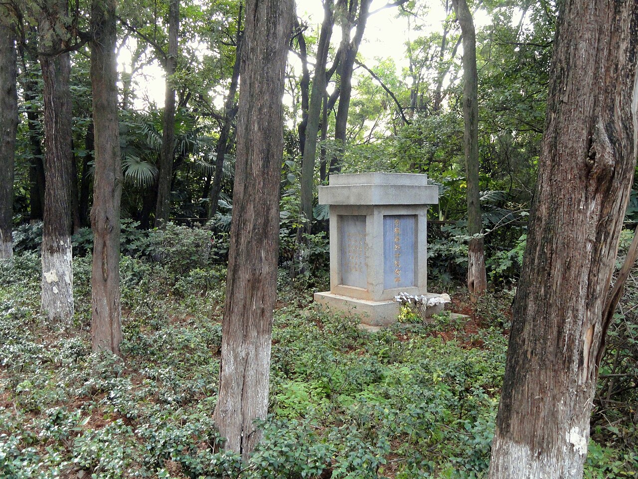 Yunnan University