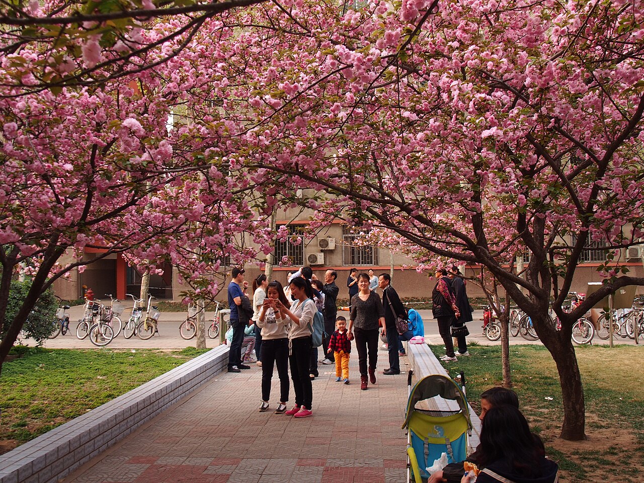 جامعة خنان الزراعية