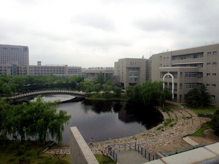جامعة هوهاي