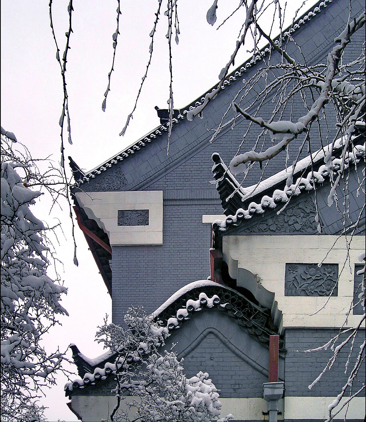 山东大学
