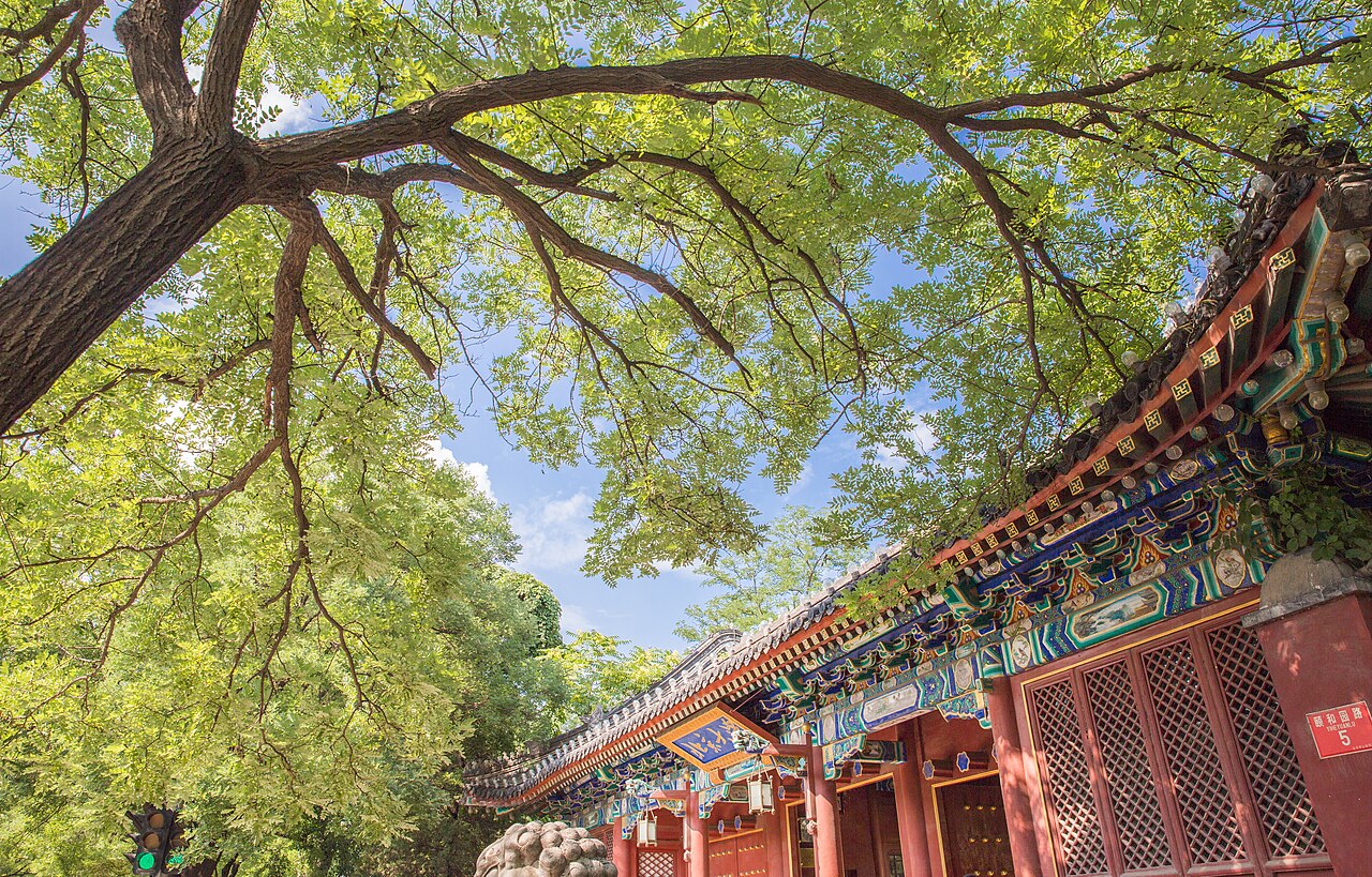 Peking University