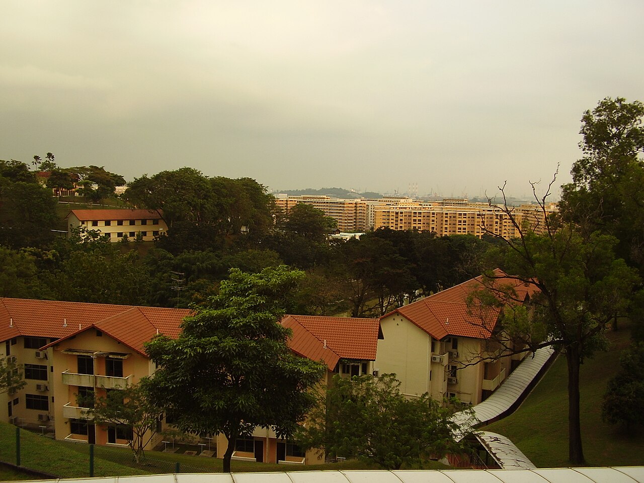 Nanyang Institute of Technology