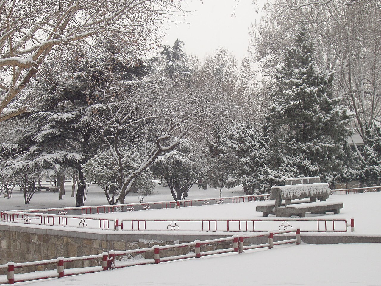 山东农业大学