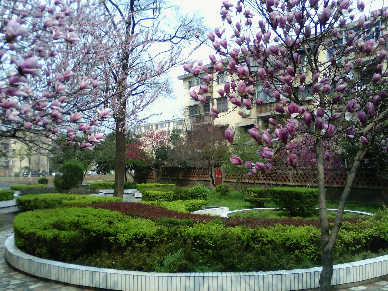 阜阳师范大学