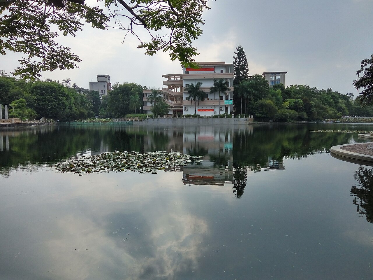 جامعة قوانغشي