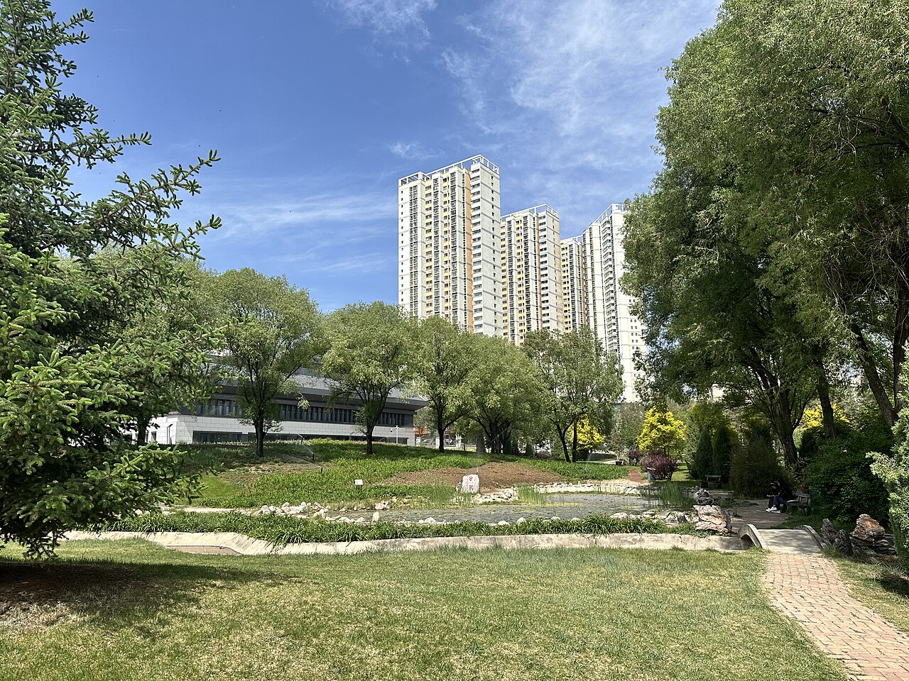 جامعة تشينغهاي