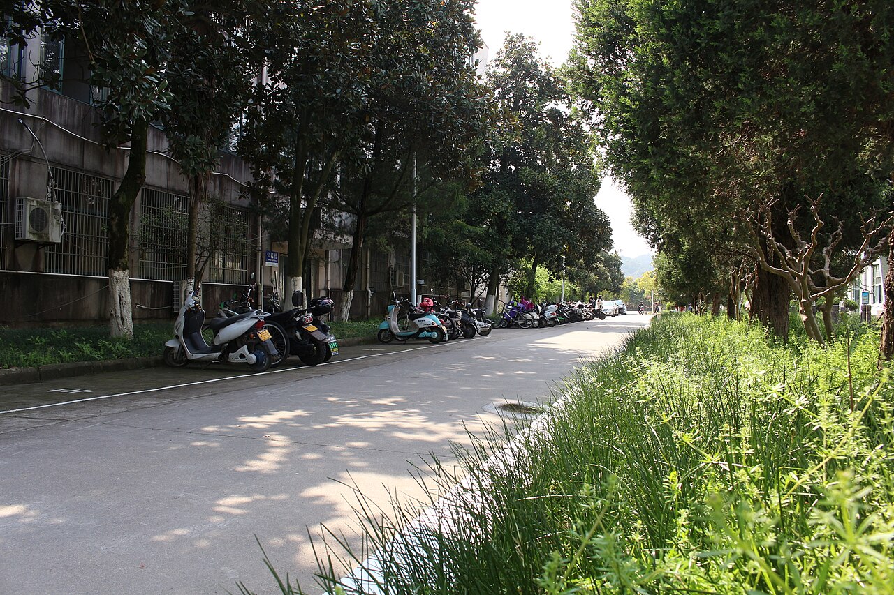 丽水学院