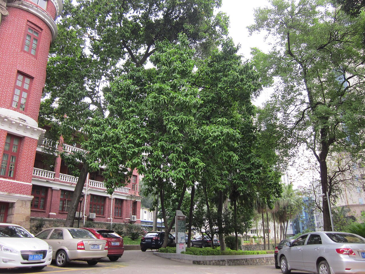 Guangzhou Medical University
