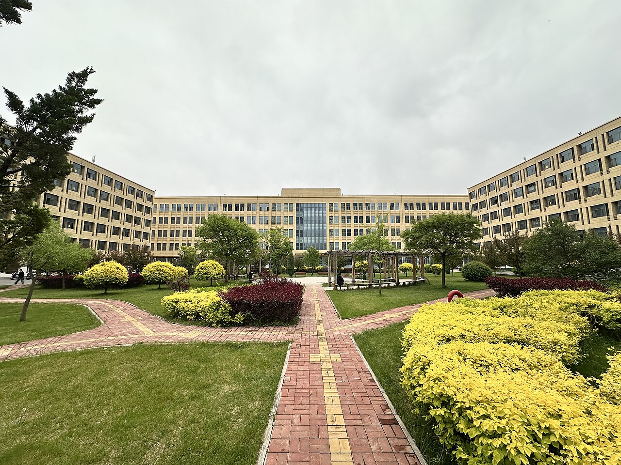 جامعة تشينغهاي